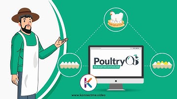 PoultryOS | Cloud based poultry ERP software |  Explainer Video by Konnect Me Animation