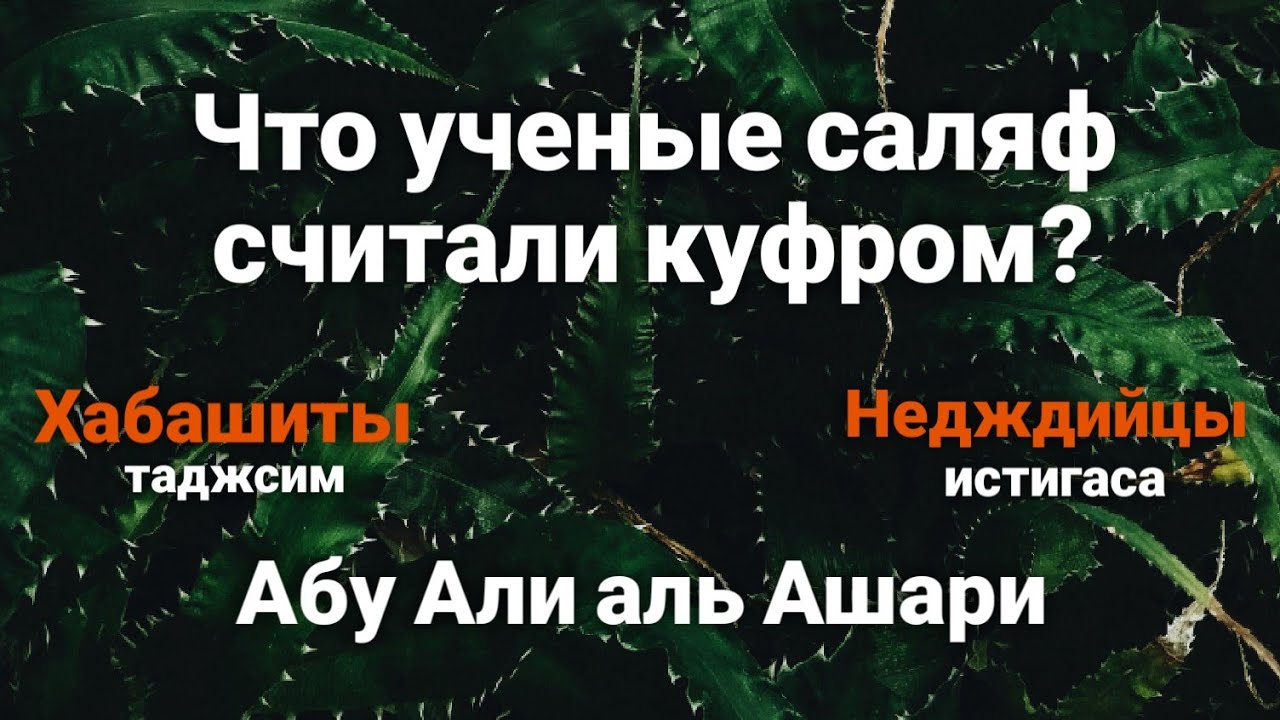 Разногласия в вопросах такфира. Хабашиты, Ваххабиты и другие течения. Устаз Абу Али аль Ашари
