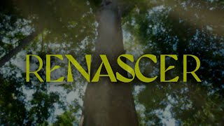 Video thumbnail of "Renascer: a abertura da minha nova novela das 9! 🌱 | TV Globo"