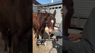 RICH GIRLS DREAMS? MORE LIKE RICH GIRLS NIGHTMARE…