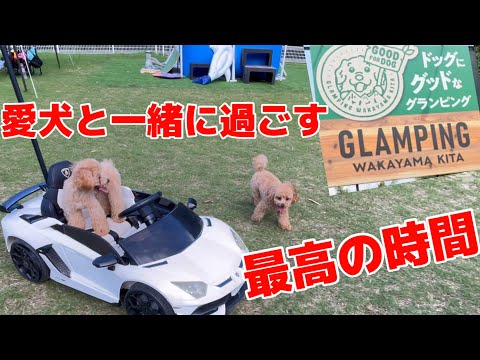 サービスが過剰過ぎてヤバい!!愛犬と一緒に行けるグランピング