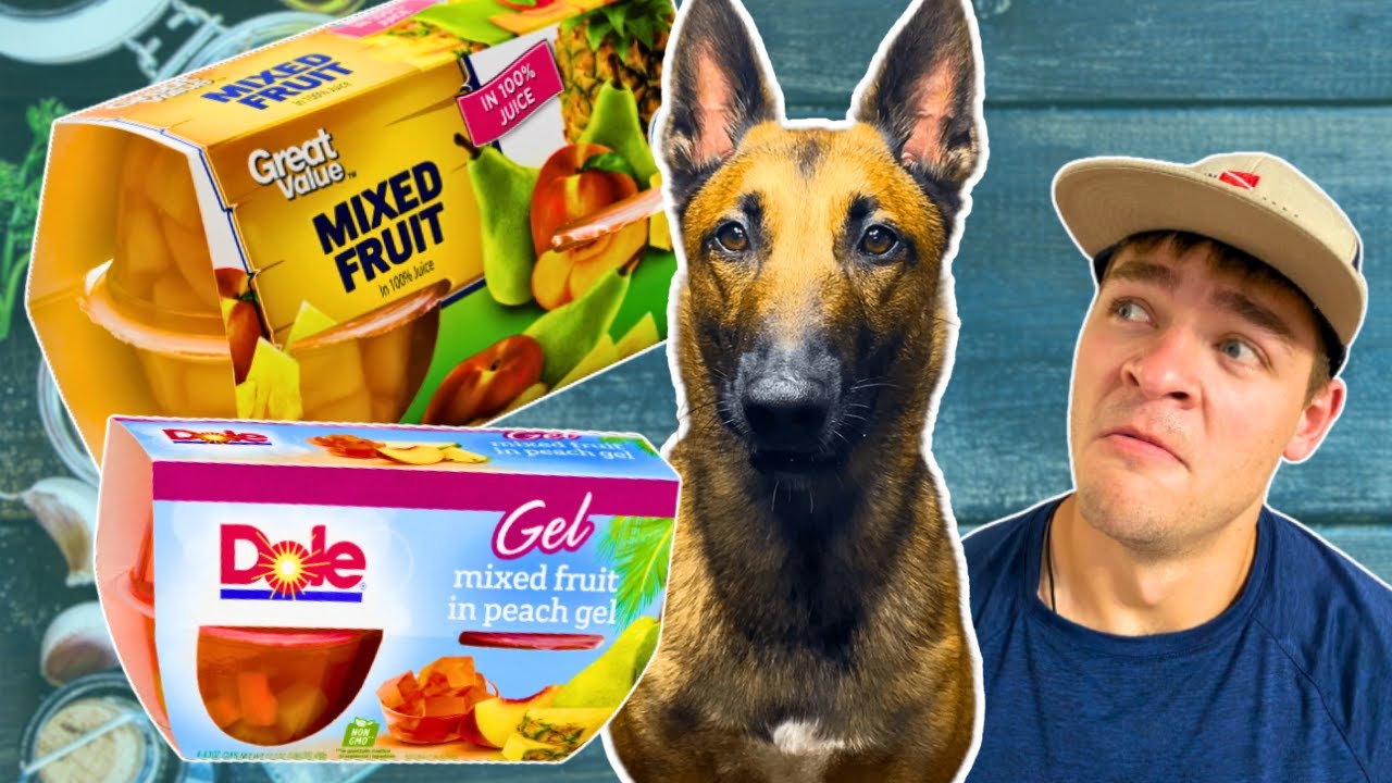 Dole Fruit Cups vs. Generic Fruit Cups Taste Test