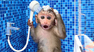 Monkey Baby Bon Bon oes to the toilet and plays with Ducklings in the swimming pool