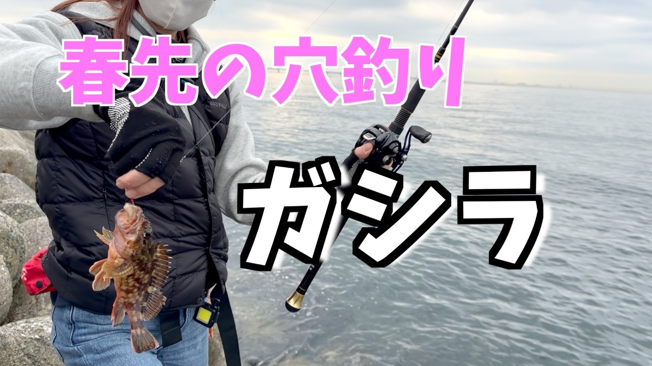 春先の穴釣り！テトラでガシラきたー🐟釣った魚を煮魚にして乾杯🍺　#穴釣り#ガシラ#二色の浜＃魚の煮付け