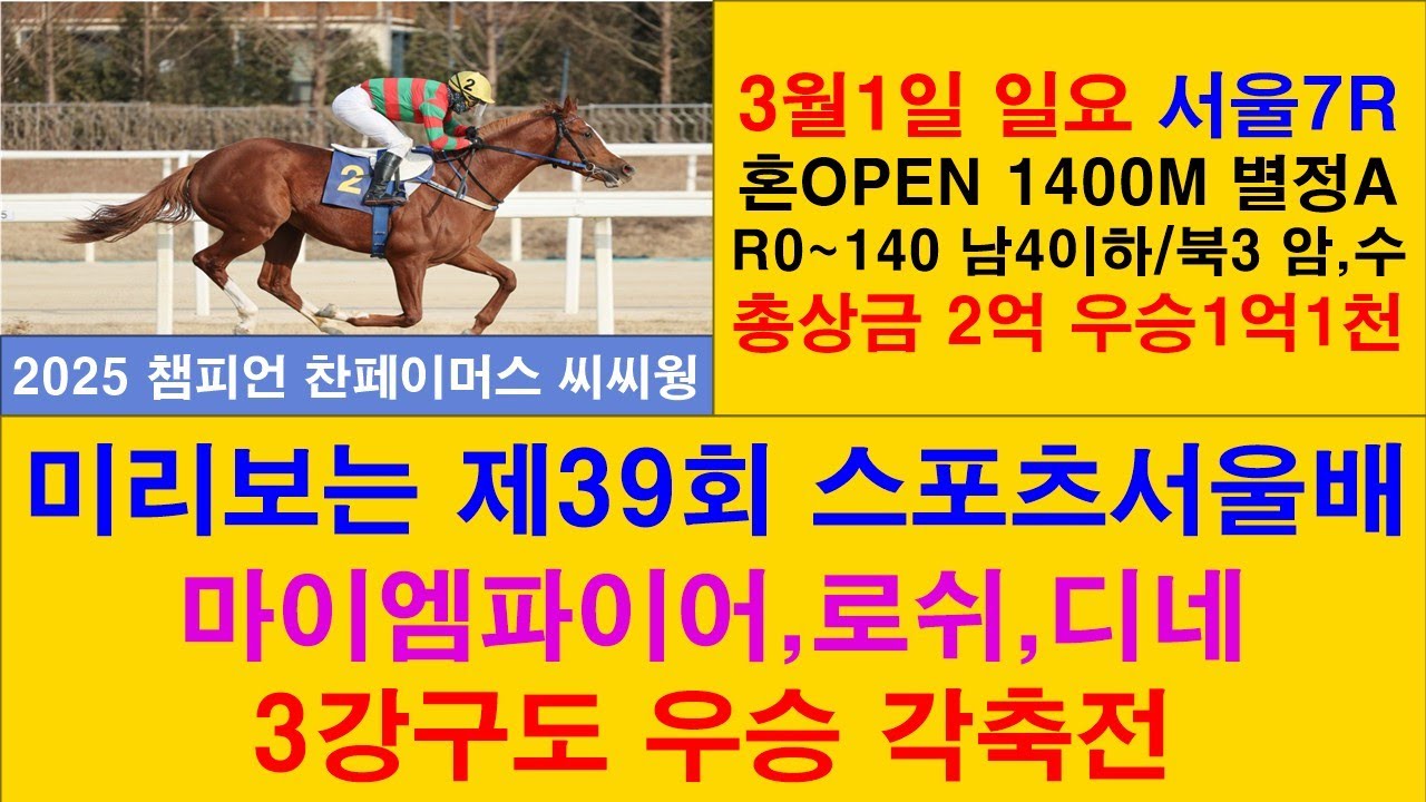 #경마예상#미리보는 제39회 스포츠서울배#새벽조교 정밀분석#박달재