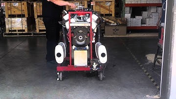 Skip White Performance Stage 7.5 555 BROWN