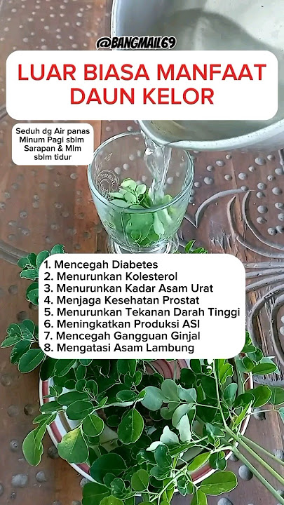 LUAR BIASA ini manfaat daun kelor #shorts #short #tips #daunkelor