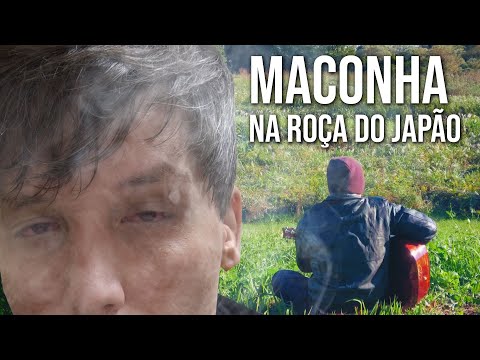Vídeo: Maconha