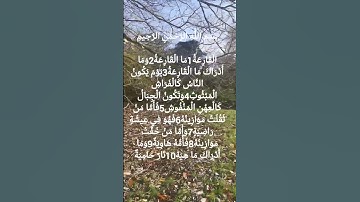 تلاوة جميلة للشيخ سعد الغامدي سورة القارعة