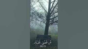 قران كريم بصوت /محمد ايوب/ من المؤمنين رجال صدقو ماعاهدو الله عليه/تلاوة مريحه