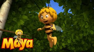 Download lagu IN SEARCH OF THE LOST DUNG Maya the Bee Episode 41 IN SEARCH OF THE LOST DUNG Maya the Bee Episode 41