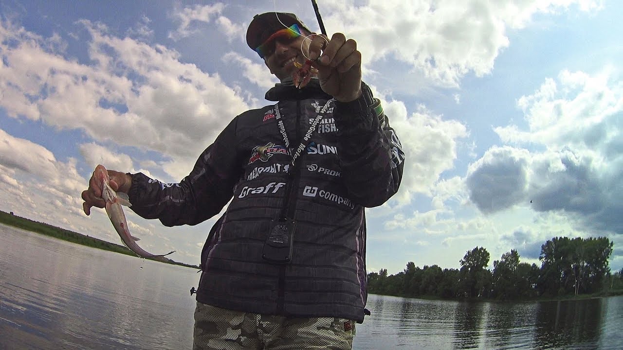 Pro anglers league 2022. чуланов рыбак. сталинград фишерс. рыболовный канал сталинград. катера pal соревнования по спиннингу.