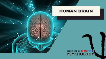 HUMAN BRAIN-2 | NTA-NET | EVGC | COUNSELOR WCD | SPECIAL EDUCATORS | BITS YUVA Inst. of Psychology