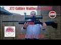 The  177 Walther Rotex RM8 & Aeon 3   12 x 50mm SF field review