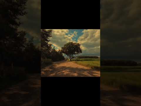 و إ ذ ا س أ ل ك ع ب اد ي ع ن ي ف إ ن ي ق ر يب الشيخ عبد الباسط عبد الصمد