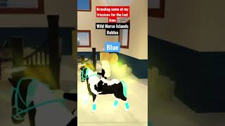 Breeding Some Of My Friesians For The Last Time-Wild Horse Islands Roblox