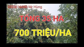 Bán Đất Đăk Nông 128| CHỈ 700TR/HA ,CÓ 1 KM MẶT ĐƯỜNG TỔNG 35HA ĐẦY ĐỦ CÂY TRỒNG #nhadattaynguyen #