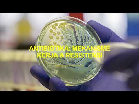 Antibiotika - Mekanisme kerja dan resistensi - Aktivitas Antimikroba | Kuliah Mikrobiologi