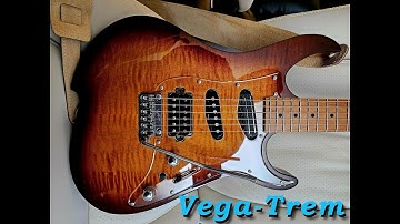 Vega-Trem - Answering your FAQ