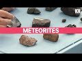 How to find a meteorite in Australia | Catalyst