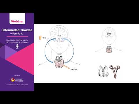 WEBINAR - Enfermedad tiroidea y Fertilidad.