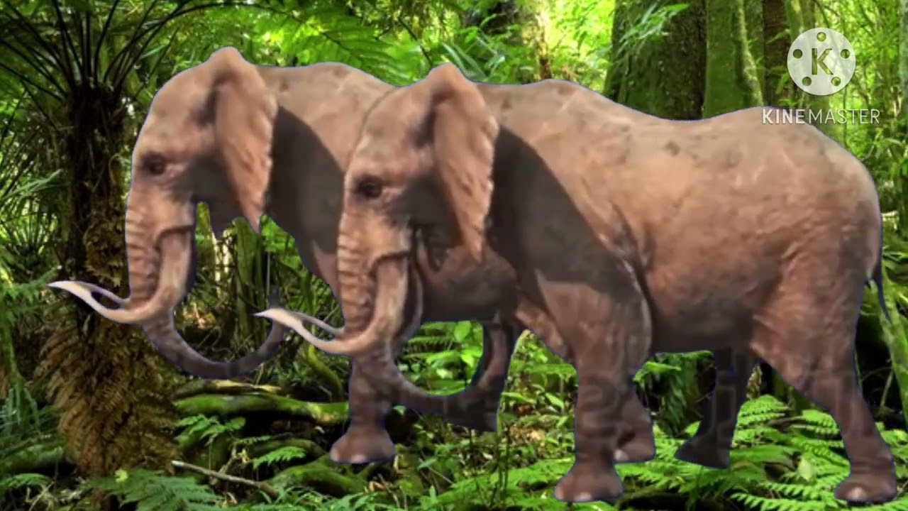 Big Fun Adventures (IndianaJonesSkywalker675 Style) Animal Parade