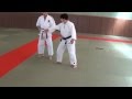 Jujitsu 20 techniques  explicatif  serie d