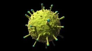 10 of the deadliest plagues in history