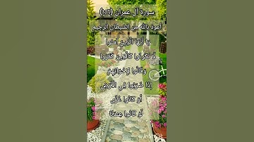 سورة آل عمران الآية ١٥٦ ¹