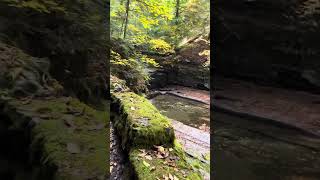 Fillmore Glen State Park, NY, Gorge Trail. October 12th, 2024