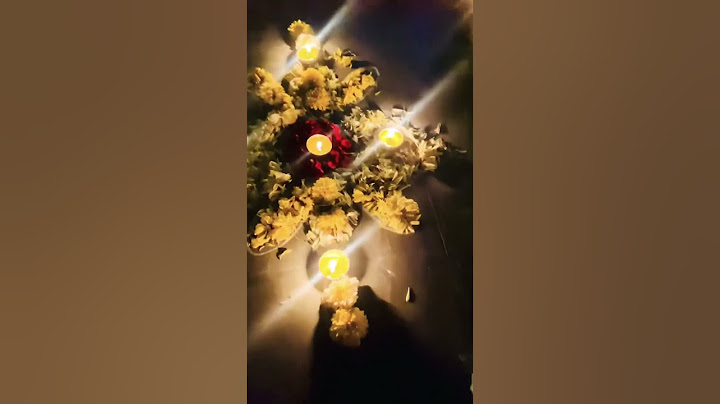 Happy Diwali 🪔 2023#the Princess junnu#diwalispecial #2023 #viral #shortsvideo #shortsfeed #video