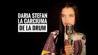 Daria Stefan - La carciuma de la drum #music #muzica #video #shorts #short #youtube #youtubeshorts