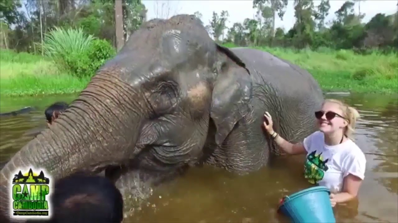 Invasion Camp Group - Summer of a Lifetime