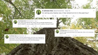 The Tree Tweeting About Climate Change Education Earth