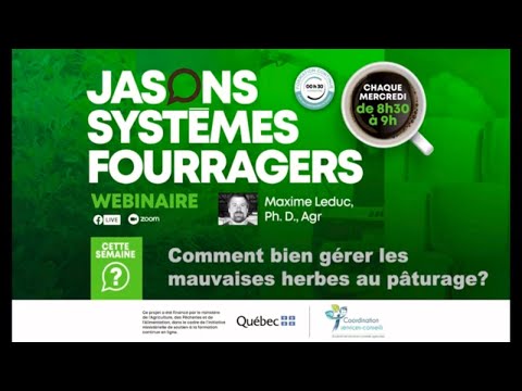 Vidéo: Quel type d'herbe produit des sétaires ?