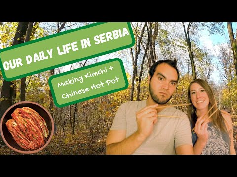 Video: How To Leave For Serbia
