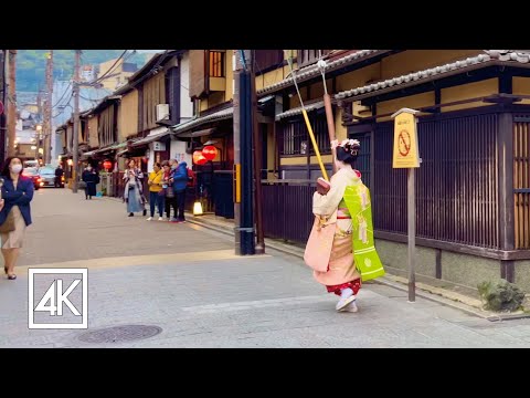 舞妓さん見物に観光客で賑わう京都祇園を散歩 4K HDR #kyoto #gion #舞妓