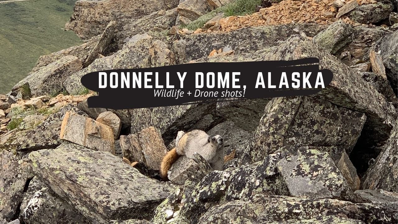 Exploring Donnelly Dome, Alaska YouTube