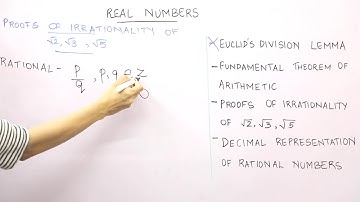 Real Numbers | One Shot | CBSE 10 Maths Chapter 1 | Brief Summary |  Quick Recap