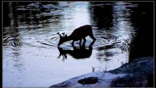 Video thumbnail of "AS THE DEER PANTS FOR THE WATER"