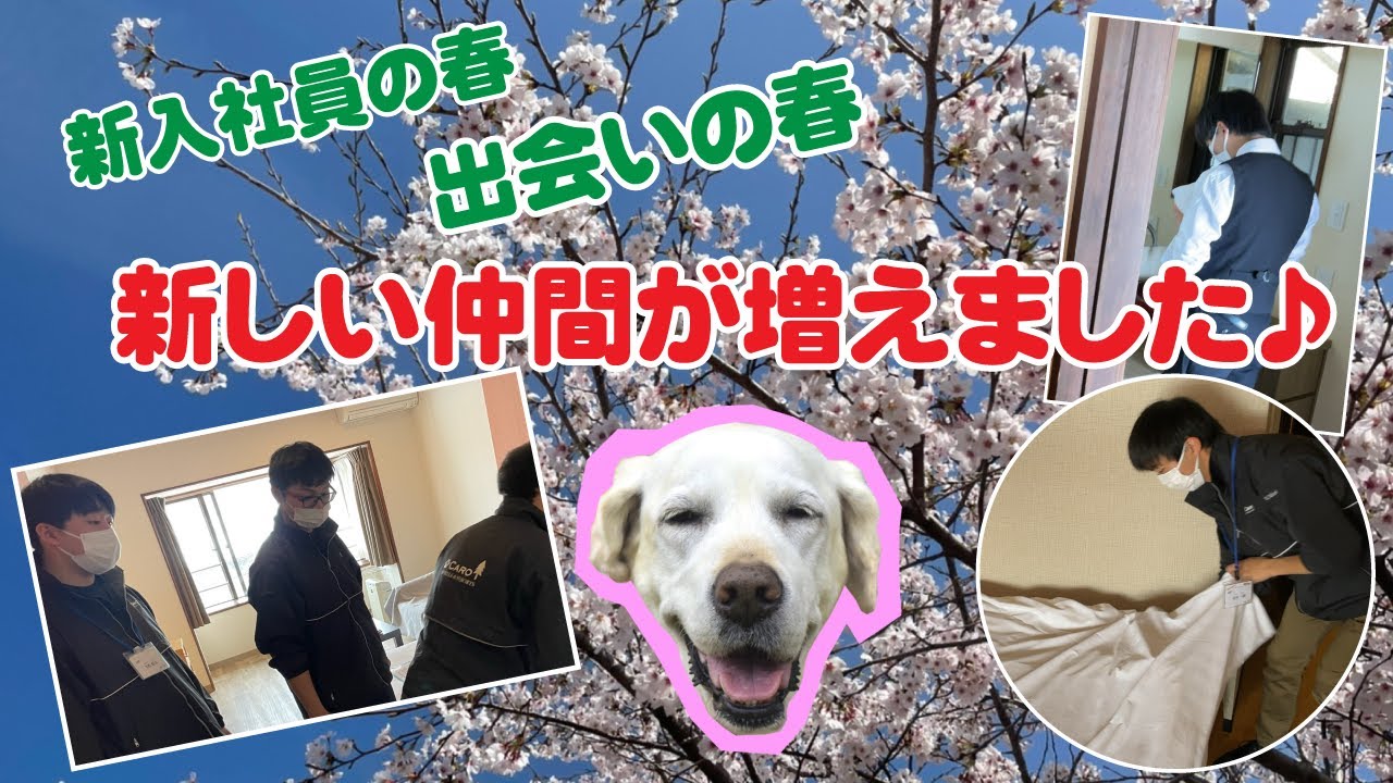 今後が楽しみ！カーロにも新人たちが入って来ました♪