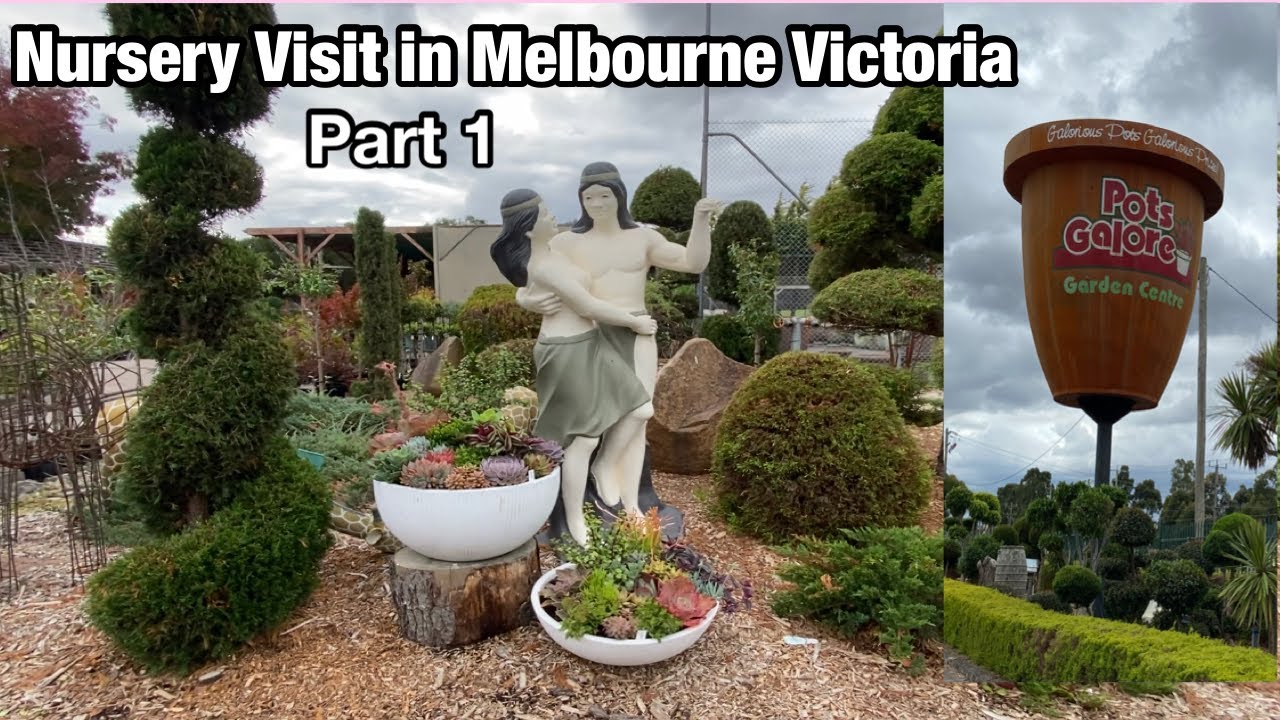 Succulent Shopping in Pots Galore, Melbourne Victoria YouTube