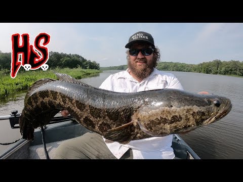 hook-shots:-go-go-team-snakehead-(chapter-1)