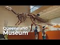 Queensland museum brisbane lost creatures wild state discovery centre anzac legacy gallery