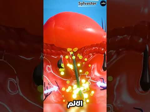 ميسي  اهميه  اعتني اكسبلور ورك افلام النظافه 