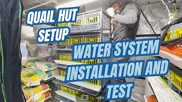 Hatching Time Quail Layer Cage Water System install and test