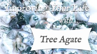 TREE AGATE 💎 TOP 4 Crystal Wisdom Benefits of Tree Agate Crystal! | Stone of Plenty