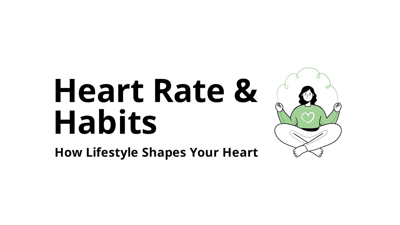 How do lifestyle habits change heart rate over weeks and months?