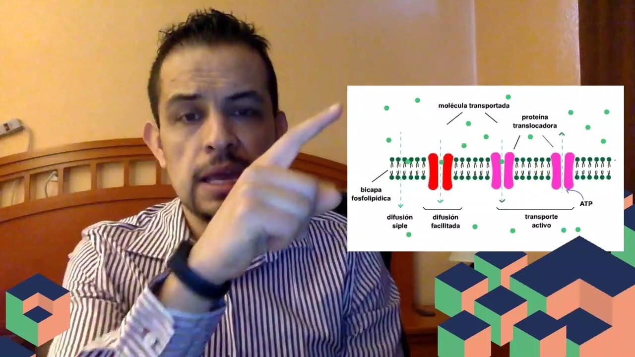 Absorción de fármacos - Parte 1 - Mecanismos de absorción
