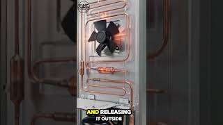 Your Refrigerator Doesn’t Create Cold — Here’s How It Really Works ❄️⚡